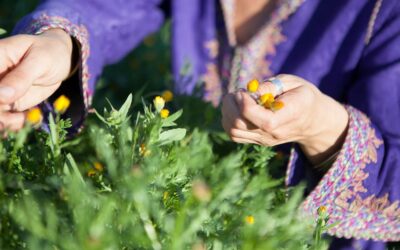 Antes de buscar una planta, aprende a observarte